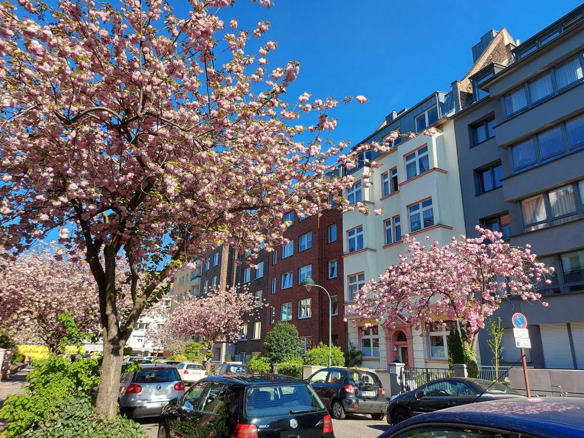 Germany: Shocking Things About The&nbsp;Country